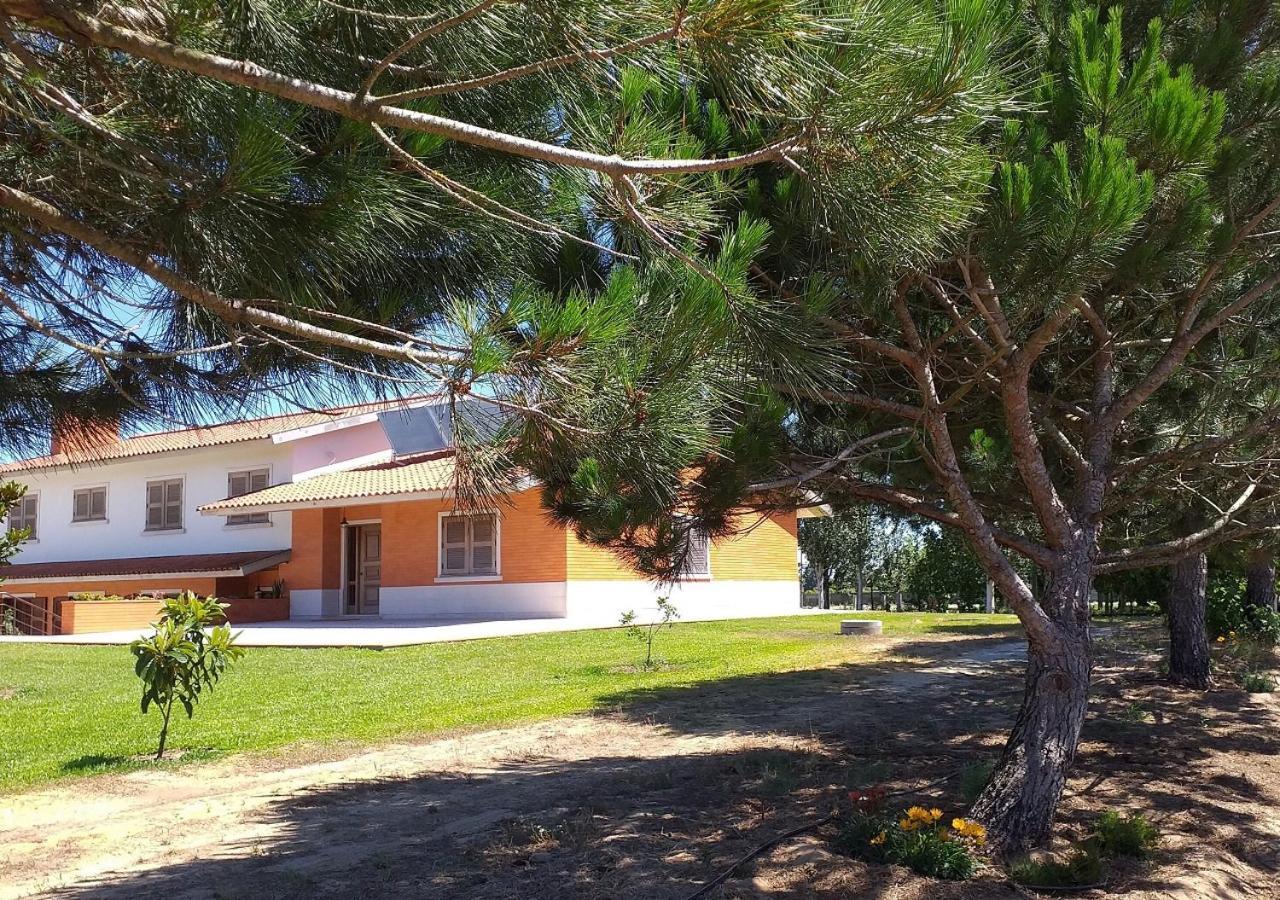 Corujeira Greenside Of Sea מראה חיצוני תמונה