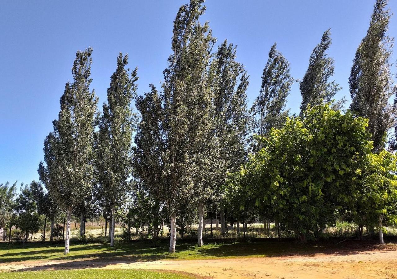 Corujeira Greenside Of Sea מראה חיצוני תמונה