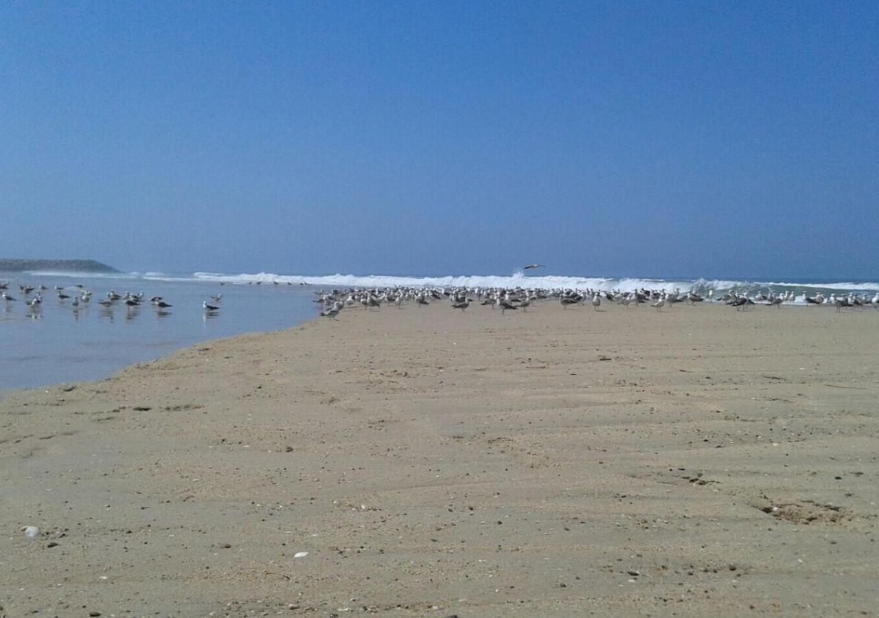 Corujeira Greenside Of Sea מראה חיצוני תמונה